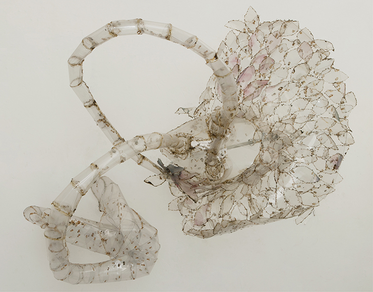 Dafne