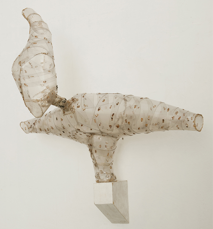 Volo